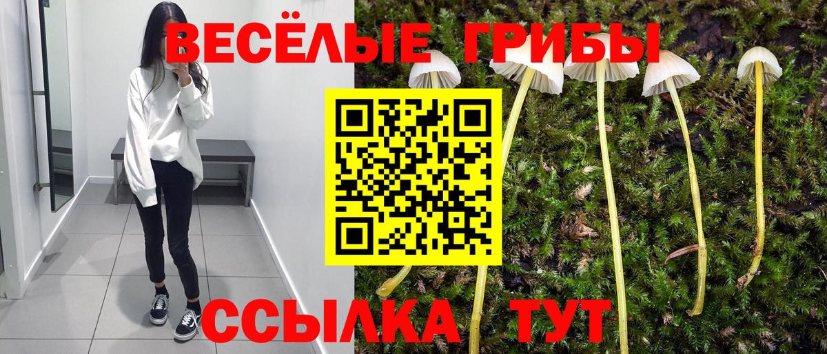 Псилоцибиновые грибы ЛСД  Вход с VPN  Светлоград 