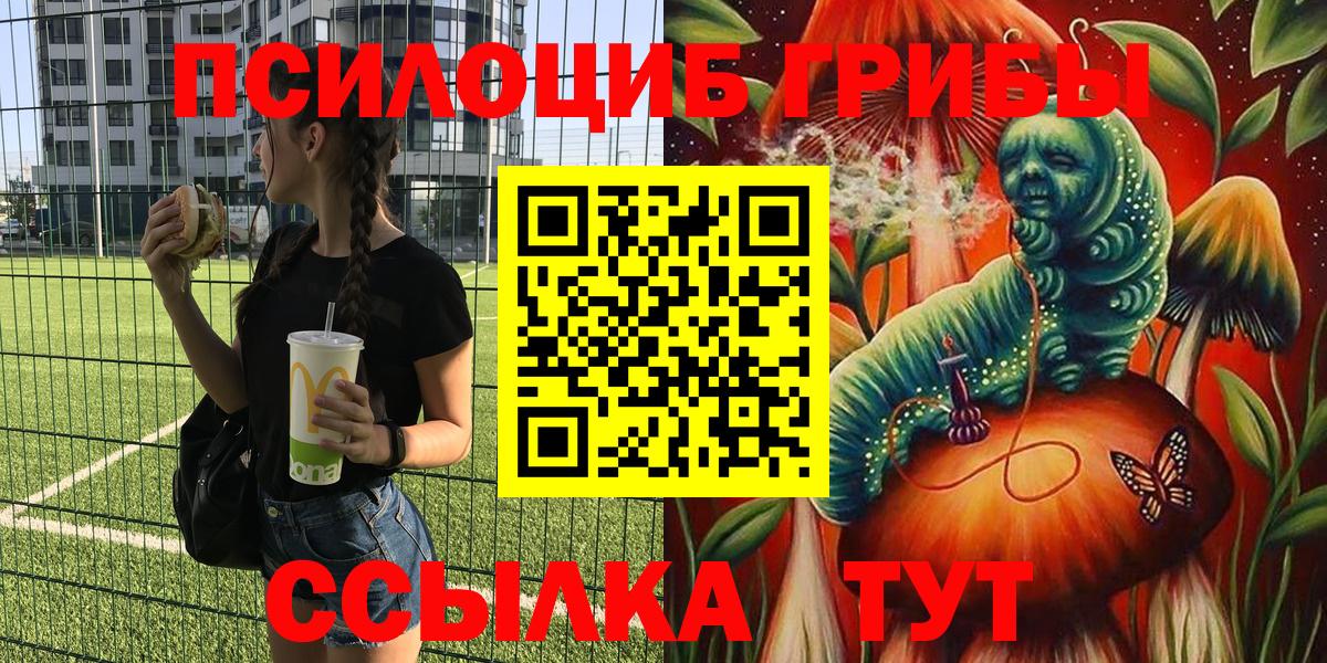 Галлюциногенные грибы GOLDEN TEACHER Светлоград